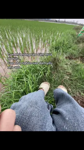 ……. #xuhuongtiktok #tiktok #caption 
