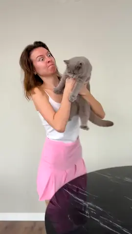 Crazy Cat 😂  #funnycatvideos #cutecat #pets #funnyanimals #petlovers #adorable #viralcatvideo #trendingnow #animalcompilation #catmeme