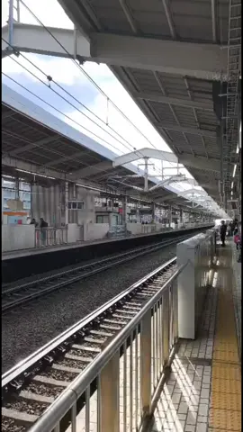 My sister and my brother in law are in Japan visiting incredible places, and of course they also travelled by the bullet train that is a must do if you visit Japan! #japan #bullettrain #train #publictransport #nihon #shibuya #tokyo #kyoto #hikarigaoka #fasttrain  #tourism #japantour  #sister #brotherinlaw #Love #Family #proud 