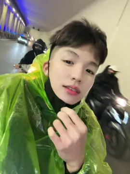 đú các idol 