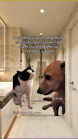 Đừng ai chê nha thế cho tiện 🤣 #meo #cat #meme #Relationship #Love #chuyennha_meu #xuhuong #thinhhanh #trending #viral 