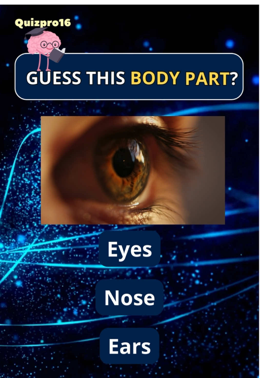 Can you guess this body  parts?🫁 #quiz #question #doctor #body 