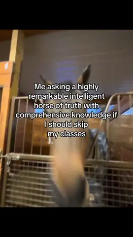 and HE IS ALWAYS RIGHT #foryoupage #fyp #uni #student #unilife #relatable 