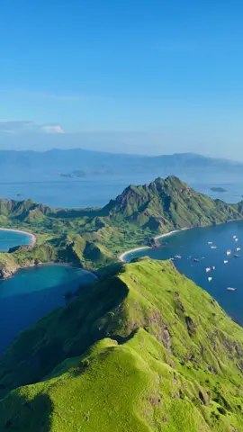 Footage dengan harga 2 juta rupiah 🥵  #komodonationalpark #komododragons  #pulaupadarlabuanbajo  #fypage #nttpride🏝🔥 