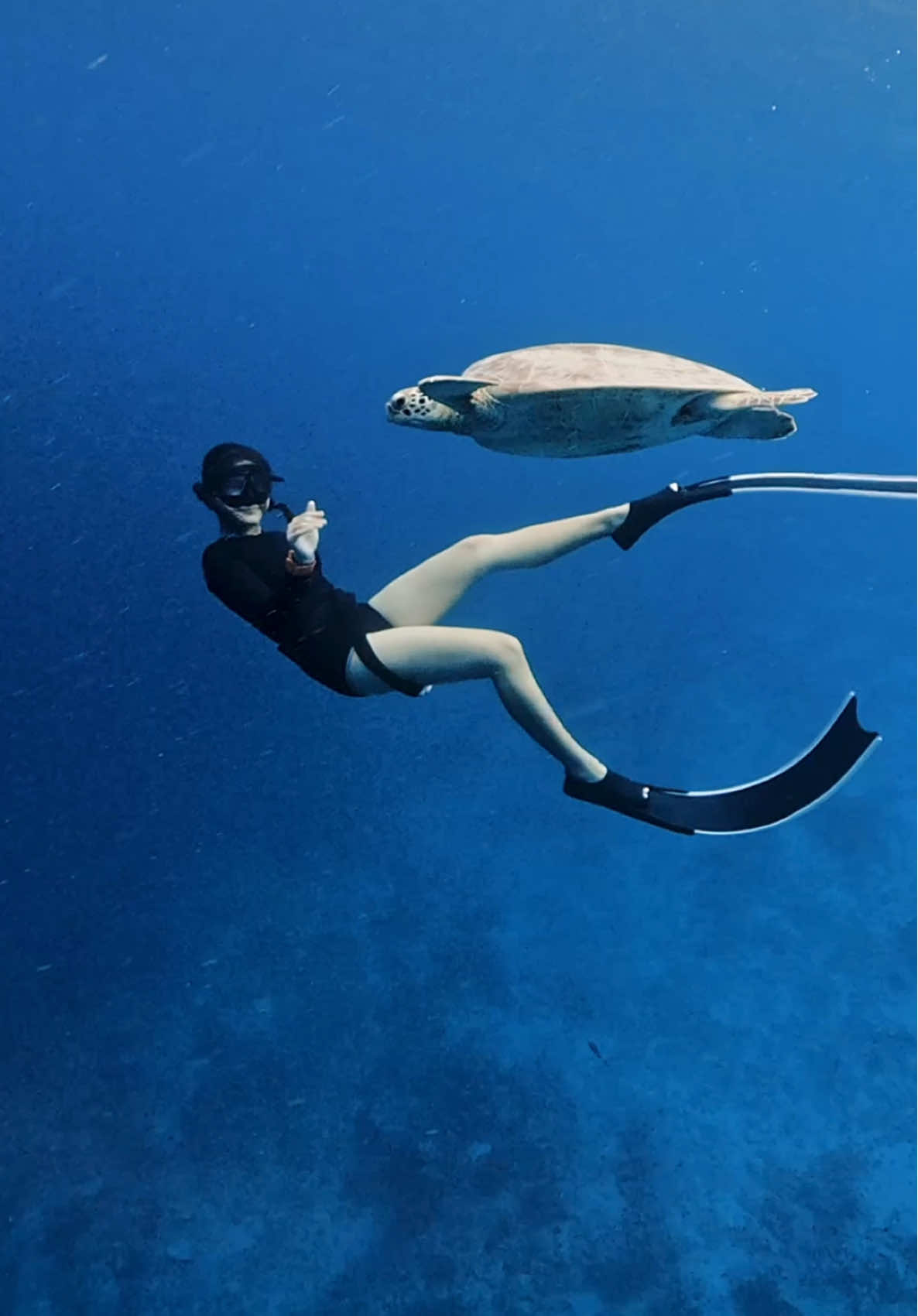 LOMBOKK !!! 😮‍💨😍 #freedive 