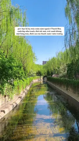 bring me backkkk #duhocsinh #tsinghua #spring #thanhhoa #清华大学 #campus #campuslife #fypシ゚ #fyp #xuhuong #xh 