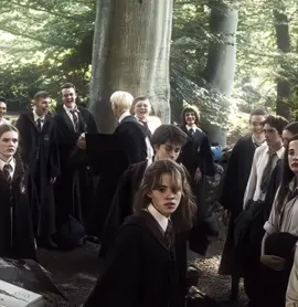 I‘m back editing                                            #malfoy #haarypotter #dracomalfoy #ganster #blackandblue #edit #fyp 