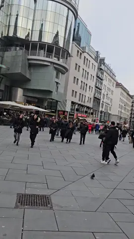 #فينا🇦🇹النمسا #اوربا_المانيا_النمسا_هولند_السويد_بلجيكا_السعودية_العراق_الأمارات 