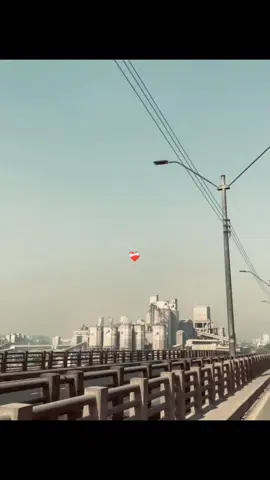 তুমি ভাবছো কষ্ট শুধু তোমারি হয়  তোমার একারি হয় তুমি ঠিকই ভাবছো আমার তো মন ও নাই  কষ্ট তো দূরের কথা 🙃❤️‍🩹#fpyシ #foryou #video 