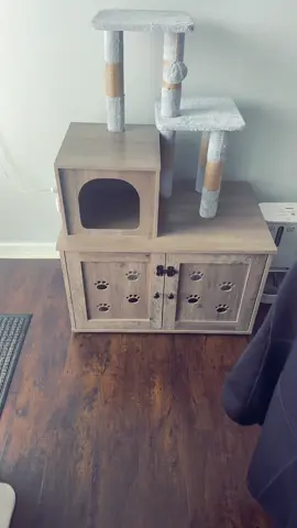 #dklgg #cattree #litterboxenclosure #catsoftiktok #hidethelitterbox #springtok #kittycat #catsoftiktiok #tiktokshop 