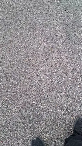 #amts2025 #amts #leopard2a7 #hungarymilitary #military #120mm 