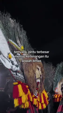 #boloreog #storyreog #fyp 