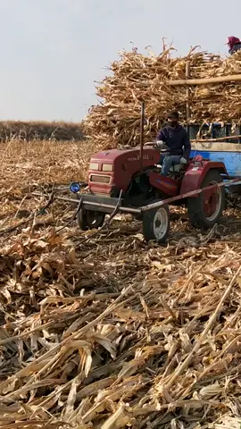 #satisfying #machines #in #action 