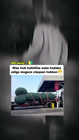 national 😂#ตามจังหวะ #somalitiktok #funny tik toks #funny tik toks #funny tik tok videos 