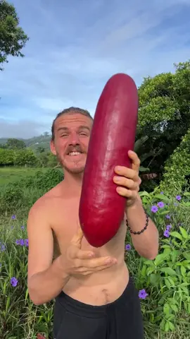 The most exciting is tasting new fruits you've never tasted before! 🙌