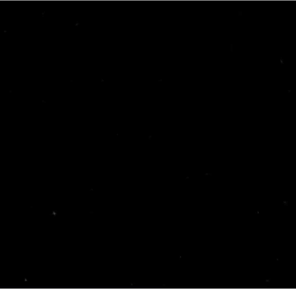 i can see it in your eyes.. #fyp #lyricssong #lilpeep #tipografia 