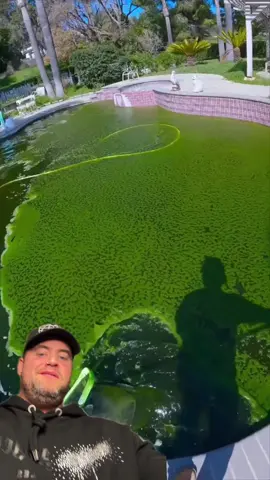 #duet OH THIS POOL IS A GOOD ONE ! - @𝙈𝙮 𝙋𝙤𝙤𝙡 𝙂𝙪𝙮 𝙅𝙖𝙮 - IG - richardsalesofficial #viral #xybca #FYP 
