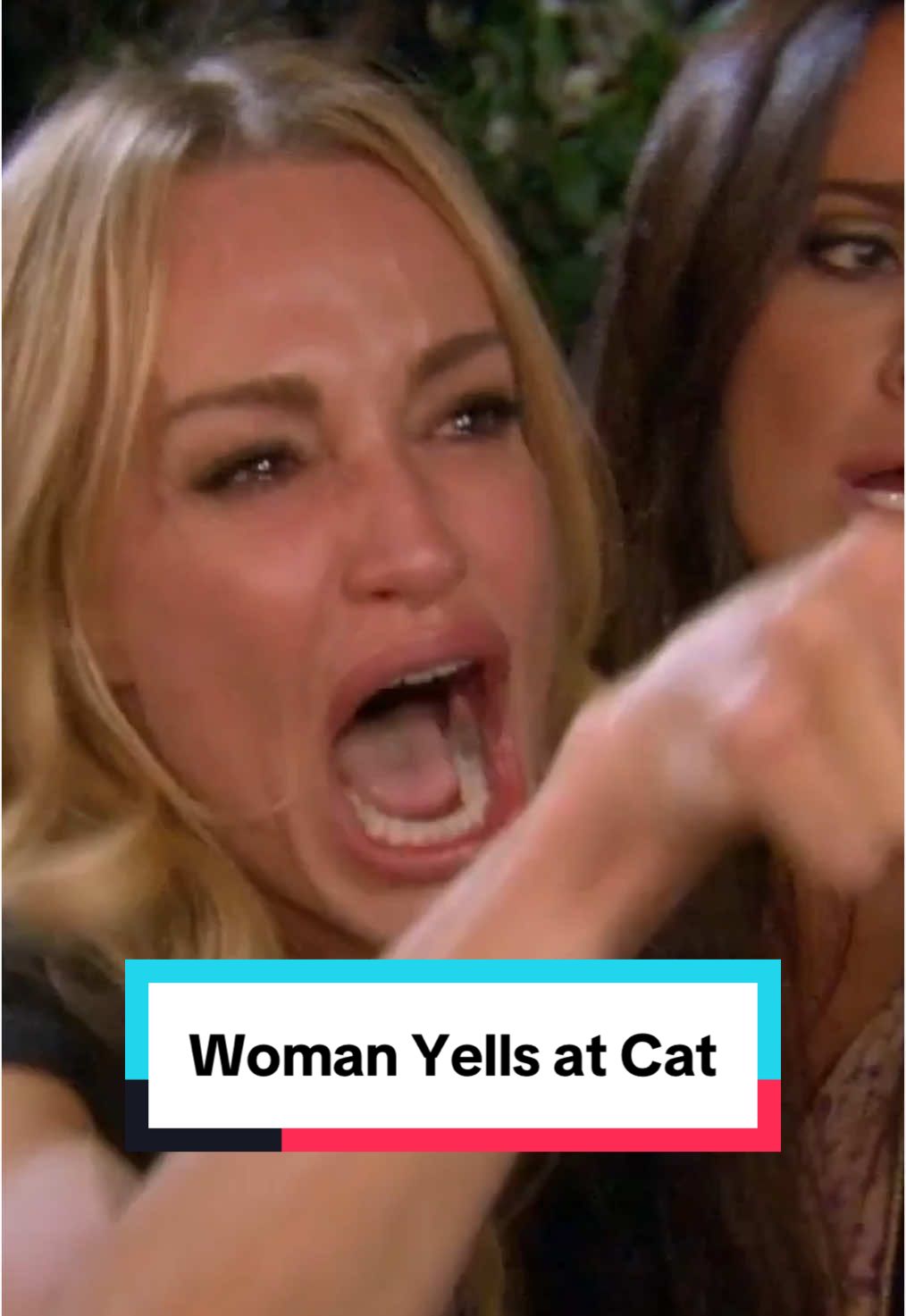 Woman Yells at Cat Video Template #videomeme #meme #womanyellingatcat #internetculture #realhousewives #realhousewivesofbeverlyhills #smudgethecat #smudge 
