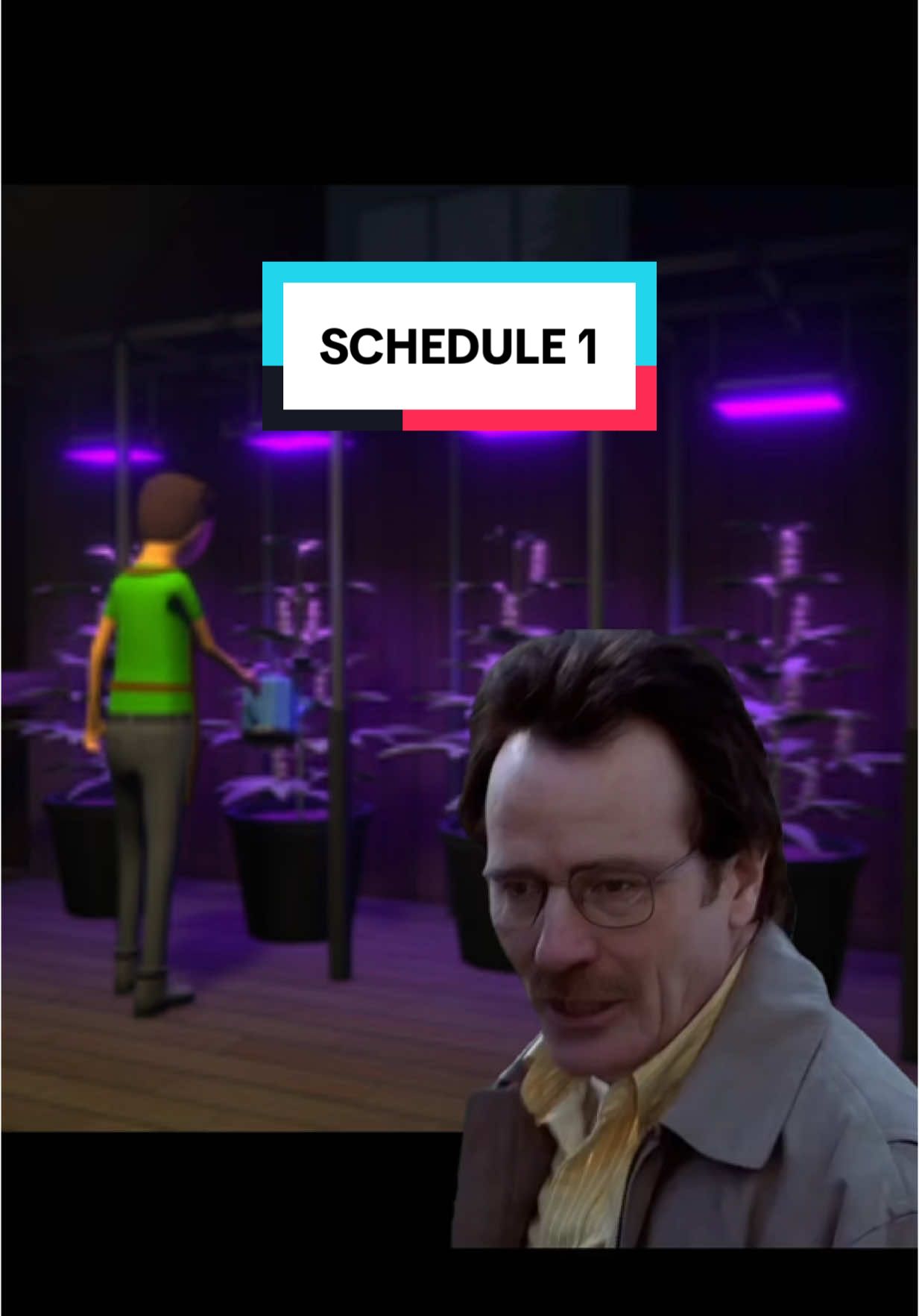 Empire Coming #fyp #viralvideo #schedule1 #breakingbad #schedule1game #pcgaming @Schedule I 