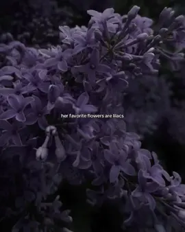 love love love love | #pourtoi #fyp #fypシ #viral #xzybca #рекомендации #foryou #foryoupage #lilac #flowers #сирень 