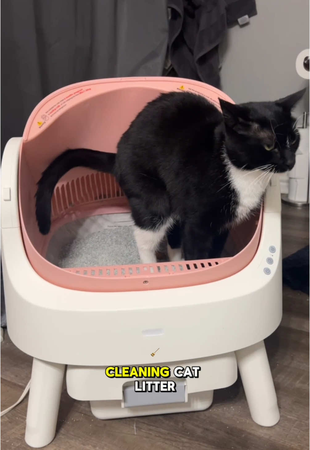 @PetPivot US #petpivot #autoscooper #litterbox #automaticlitterbox #autoscooper11 #catmom #cattok #greattikrokshopfinds #deals #tiktokshopdeals #deals #sale #discount #tiktokshop #dealsforyoudays #foryou #fyp #foryoupage #popular #trend #trending #coolstuff #usa #tiktokshopusa #usa🇺🇸 #summersale #catlover #cats #cattok #catsoftiktok #animal #petlover #convinient 