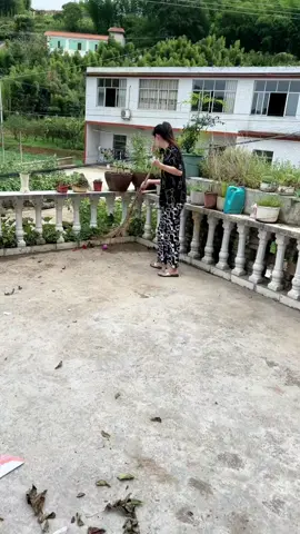 7271100906672852280兄弟们今天告诉你们嫂子为啥嫁给我，信不