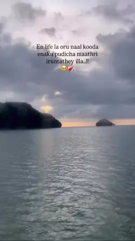 En life la oru naal kooda enaku pudicha maathri iruntathey illa..!!🥹❤️‍🩹.#fyp #raayan #annathagachi #foryou 