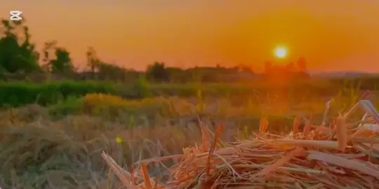 Mananyun luget,  po jehovah luget 💯💥💫 video Lyrics  #foryou #kalenjintiktokers #fyp 