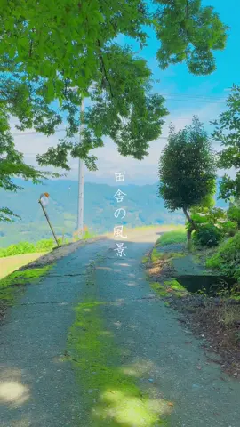 夏ほど綺麗なもんはないよ。#田舎の風景 #日本の風景 #fyp #foryou #えもい 