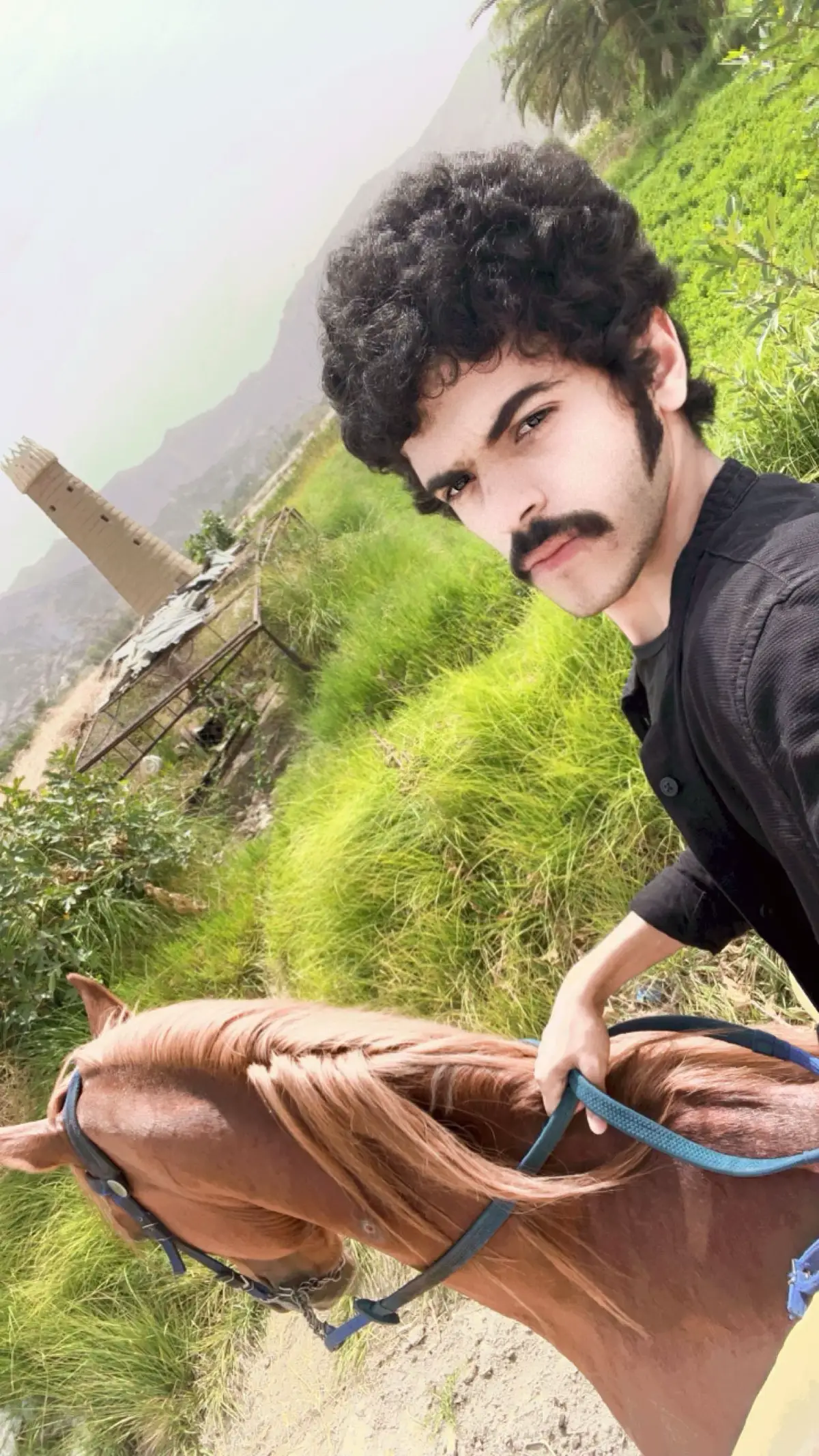 في الهاي واي #tiktok #نجران #اكسبلورexplore #خيل_وخياله🐎 #fyp 