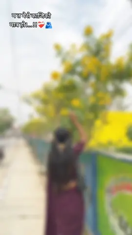 where is my kaziiiiiii#sw_et_A_loveeeeeeee❤️‍ #for_uhhhhhhhhhhhhh🥺💗💫 #loveee_yourself💐❤️ #fpyyyyyyyyyyyyyyyyyyyyyyyyy #dhangadhii_muser🎶🇳🇵😘 #swetaghimire307🥰🥰🥰❣❣ @Purnima Kp @siru❤️ @sappu 