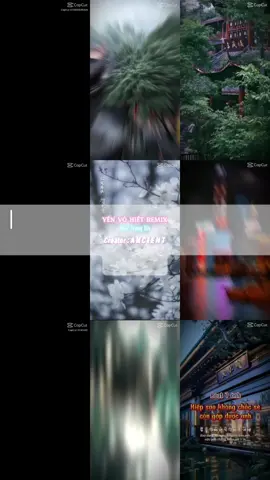 #tong #hop #🔥 #trungquoc #cuon#remix