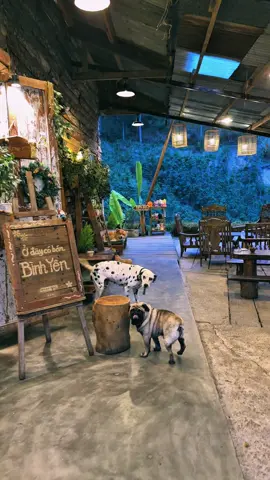 Chút bình yên trong buổi chiều tắt nắng.. #dalat #reviewdalat #nhabenrung #cafenhabenrung #nhabenrungcoffee #caphenhabenrung #nhabenrungcaphe #QuánCafeViewĐẹp #caphedalat #chill #binhyen #hoanghon #homestaydalat #homebenrung 