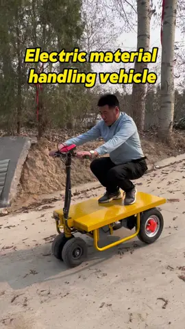 This is an electric trolley. It can move forward and backward electrically. It can be used for moving house or carrying goods.#handbarrow#Electric carrier