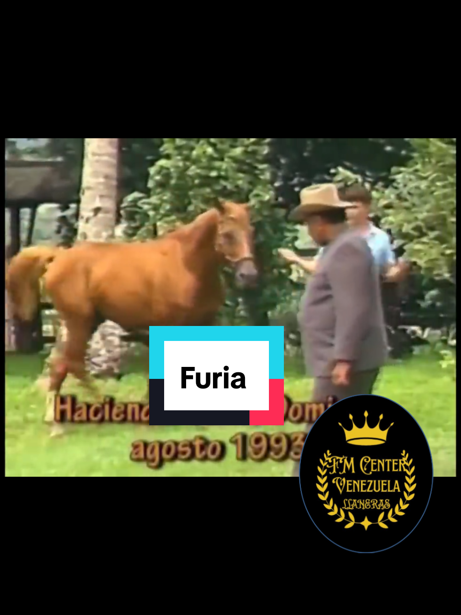 Música Llanera, interpretación el Carrao de Palmarito, Tema Furia, música Llano y Folklore, FM Center Venezuela Llaneras.