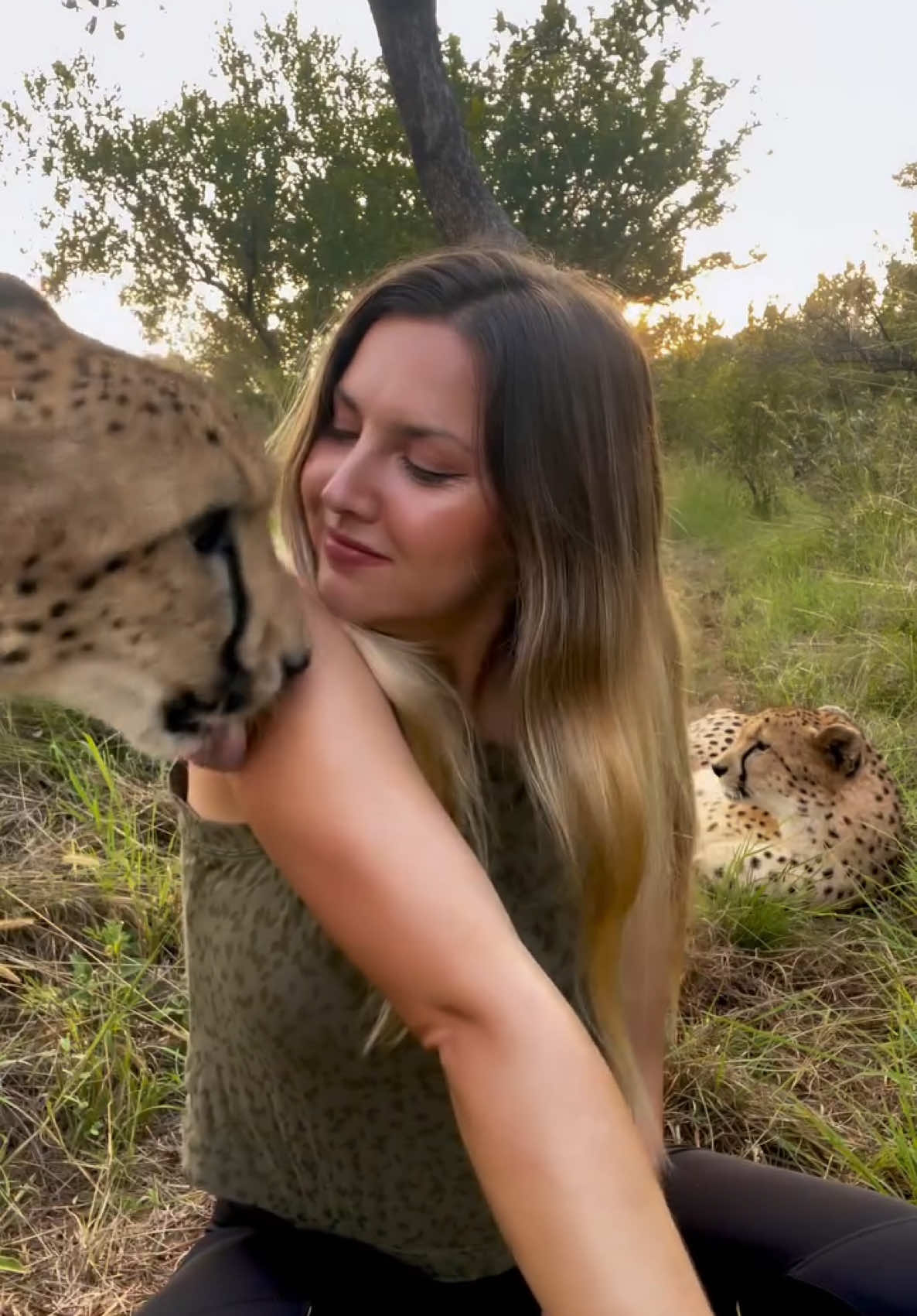 Grooming time with my boys 🌞 #fyp #cheetah #wildlife 