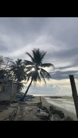 free to save #livephoto #fyp 