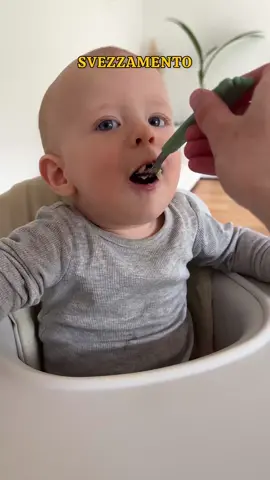 pezzettini nello svezzamento!⬇️ Adesso Gianluca mangia di tutto, ma ci sono comunque periodi in cui preferisce i pezzettini o i piatti da cucchiaio 🥄  📲 Seguimi per altre idee! Sul mio profilo trovi tanti video utili e i miei libricini in PDF con ricette da pappe a pezzettini, scaricabili direttamente sul cellulare 📖✨ Ecco come abbiamo introdotto i pezzettini, passo dopo passo! 👶🥄 Se avete domande, scrivetemi nei commenti—vi rispondo come mamma che ha già vissuto questa fase💛 💬 Raccontami la tua esperienza nei commenti! ⬇️ #svezzamento #pezzettini #autosvezzamento #alimentazionebambini #mamme #ciboperbambini #maternità #vitadamamma #mammaefiglio #bambini #svezzamentonaturale #mamma #svezzamentoricette #ricetteperbambini #verdure #ricettepertutti #famiglia #ricette 