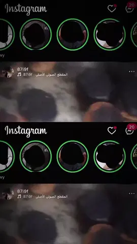 كلوزات العيد    كلله تثق بيه 