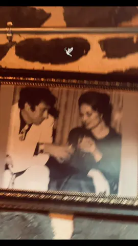 #yılmazgüney #siverek