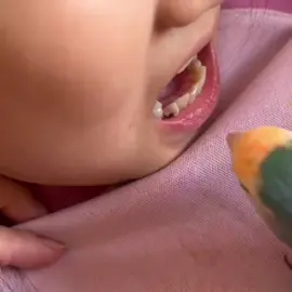 Mission: Tooth Extraction #bird #parrot #parrots #birdwatching #fyp 