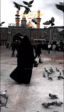 🤲🏻نصیب تیرے بدل چھڑیسی عباس دیاں #ineedsupport #shiastatus #fyp #pleasetiktokteamviralvideo💯 #foryoupage #viralvideo #1millionaudition #gorwmyaccount #LearnOnTikTok #unfrezzmyaccount #unfrezzmyaccount #unfrezzmyaccount #Zoyakhan 