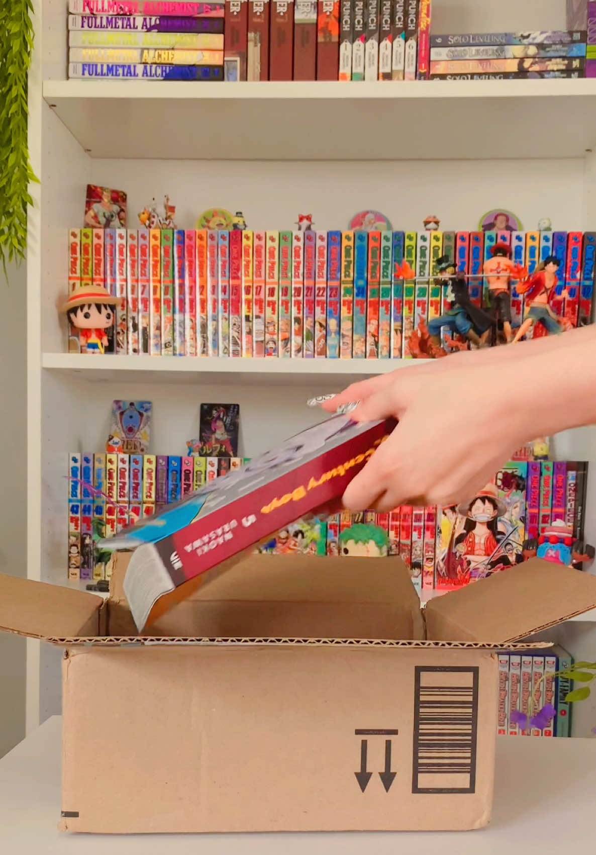 Manga haul videoooo, after a longgg time that I didn’t do!! #mangahaul #manga #mangacollection 