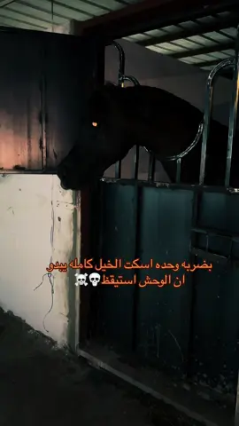 #نزيه_الخالديه #اذكروا_الله #محمد_الساكب #مربط_نواصي_نجران #الخيل_العربي_الاصيل🐎 #نجران #اكسبلورexplore 