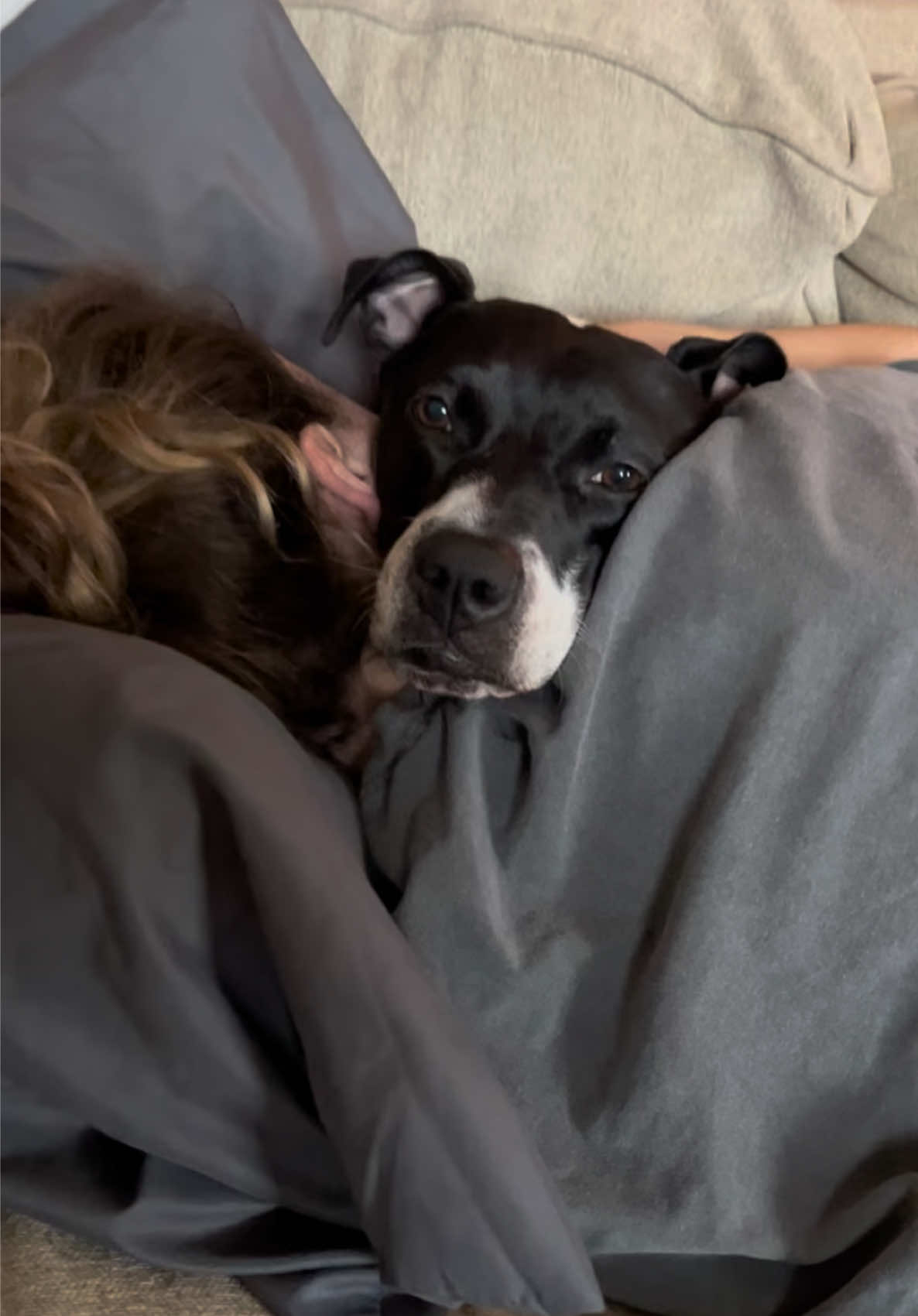 To the person on YT telling me I’m “pathetic” for mourning my dog.. I truly hope you hit every red light when you’re running late, your socks always slip down in your shoes, and your blankets are forever to short. ##baileylavender##relatable##momtok##fyp##dogmom##petparent