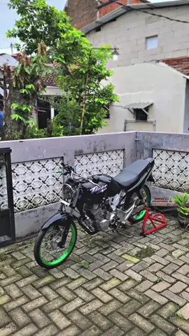 ✨✨ Monggo seng Ajeng teng griyo kulo rantosi pompong pon tangi #fyp #viral #trending #trend #masukberanda #foryou #walisongo #walisongoofficial #w9style 