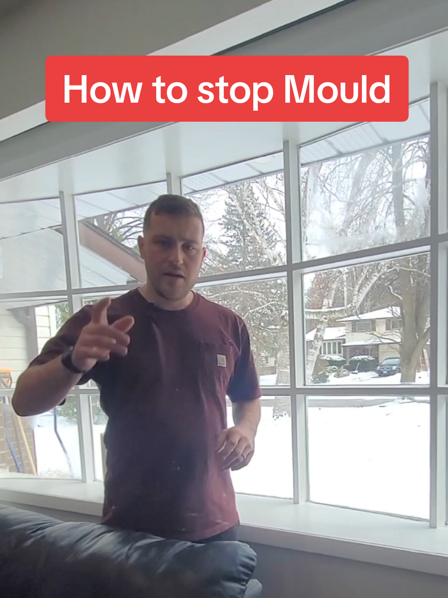 How to get rid of mold & stop it from coming back. Mix bleach 50/50 with water and spray it on. This kills the mould and treats an acidic environment. Next get some mold inhibiting paint and cover the area. Together this will help stop it from coming back. #diyprojects #homereno #homeprojects #homemaintenance #homerepairs #diyrepairs #homerenos #landlordtips #homemaintenancetip #hometips #springclean #diytipsandtricks #toolsofthetrade #handymanservice #windowcleaner #bluecollartips #moldstop #moldremoval #mould #painter 