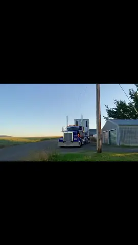 #kenworth #flatglass #cattle #idaho #worklife #fyp 