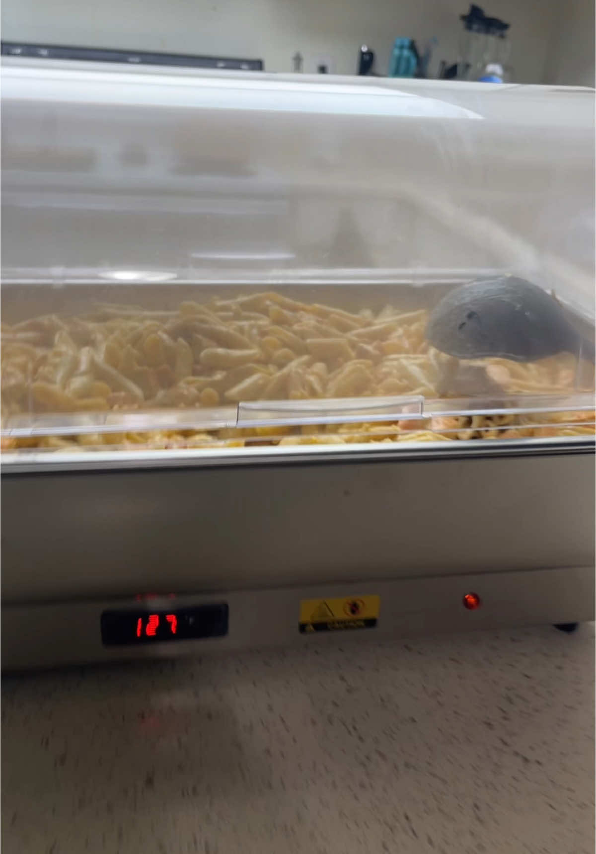 #tiktokshopspringglowup #fypシ゚viral #springtok #food #party #musthave #foryoupage 