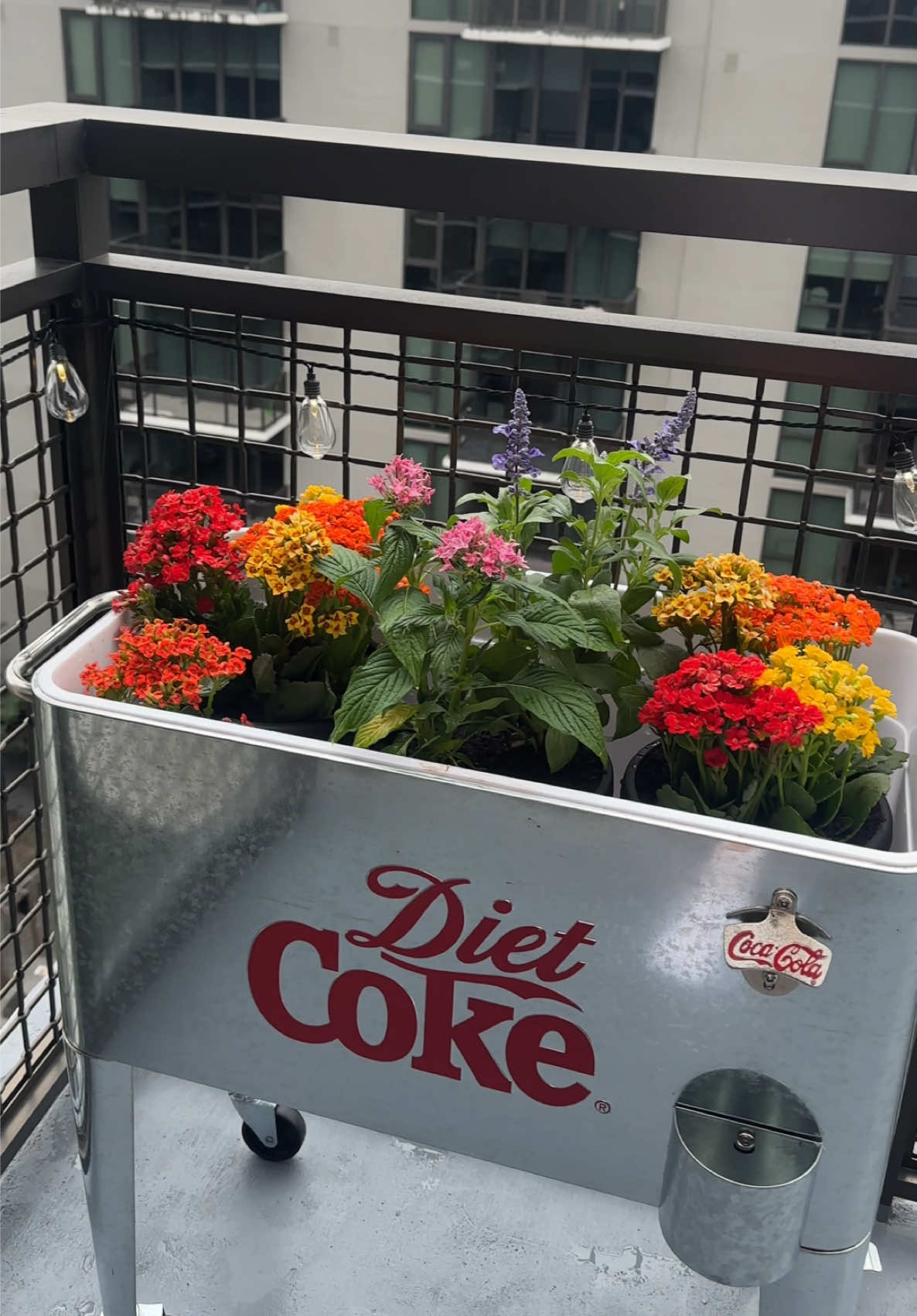 MURIENDO MAL😭🥹 VLOG DE MI PARTE FAVORITA DE EL APT!!